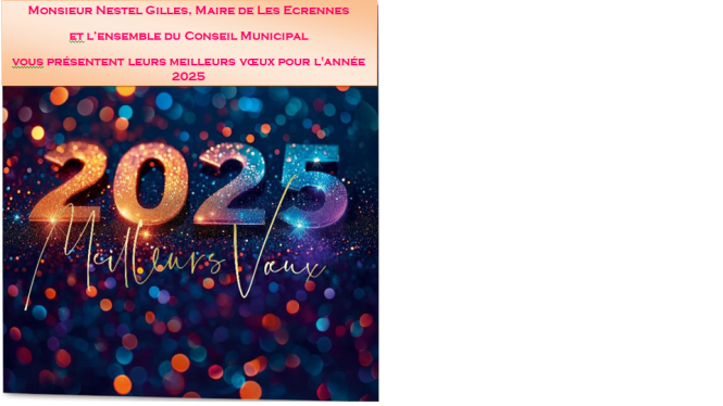 voeux2025